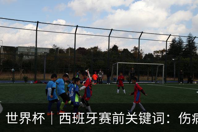 世界杯｜西班牙赛前关键词：伤病、心态与库库雷利亚